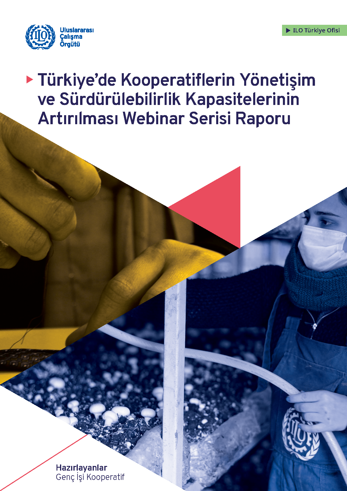 Türkiye’de Kooperatiflerin Yönetişim ve Sürdürülebilirlik Kapasitelerinin Artırılması Webinar Serisi Raporu