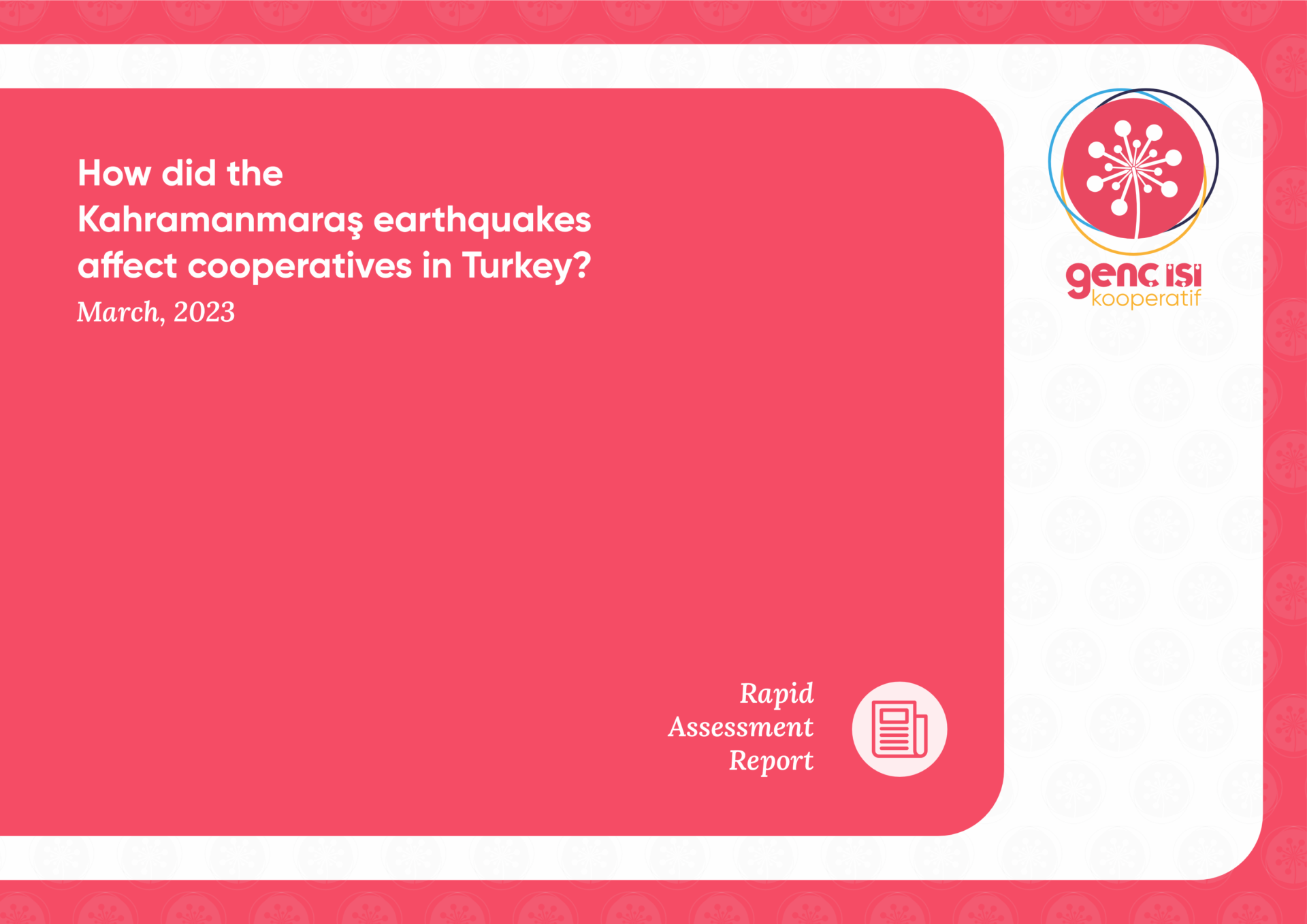 Rapid Assessment Report: Kahramanmaraş Earthquakes