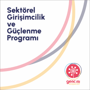 Sektörel Girişimcilik ve Güçlenme Programı